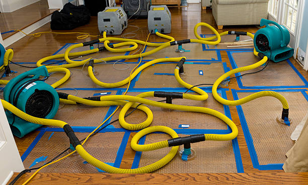 Professional Crawl Space Water Removal technician working in New Straitsville, OH